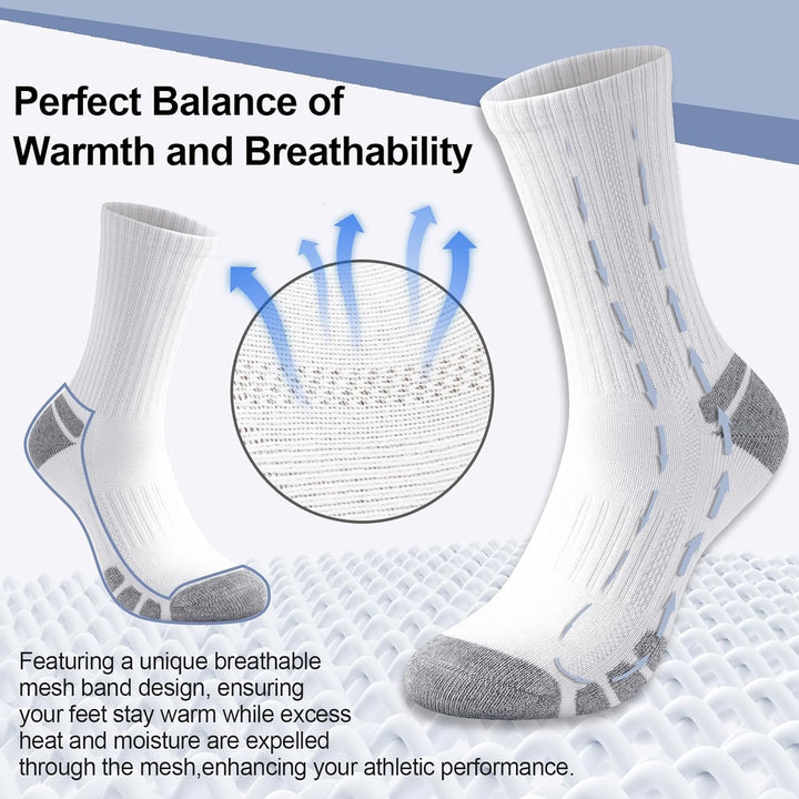Cotton Sports Socks Unisex (6 Pairs) - Robin